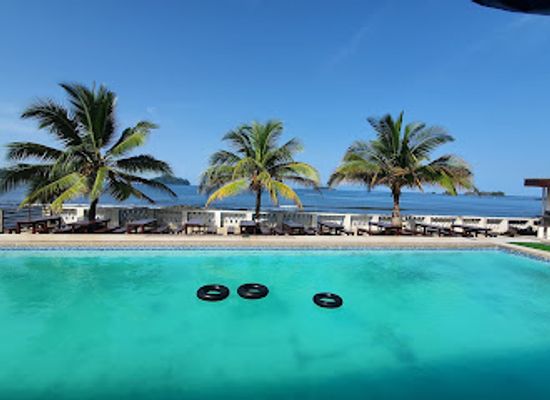 cameroon/bimbia-beach/attraction/limbe-wildlife-centre