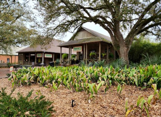 louisiana/acadiana/attraction/tabasco-factory-tours