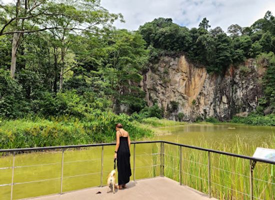 singapore/holland-village/attraction/bukit-timah-nature-reserve