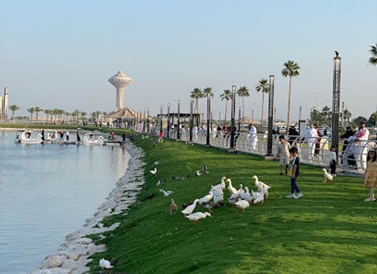 saudi-arabia/northern-borders/attraction/duck-lake