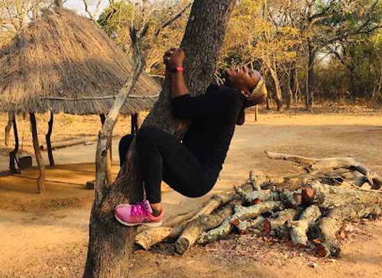 zambia/lusaka-national-park/attraction/red-container-lusaka-east-forest-reserve