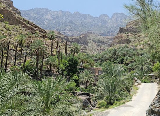 oman/ad-dhahirah-governorate/attraction/al-fara-a