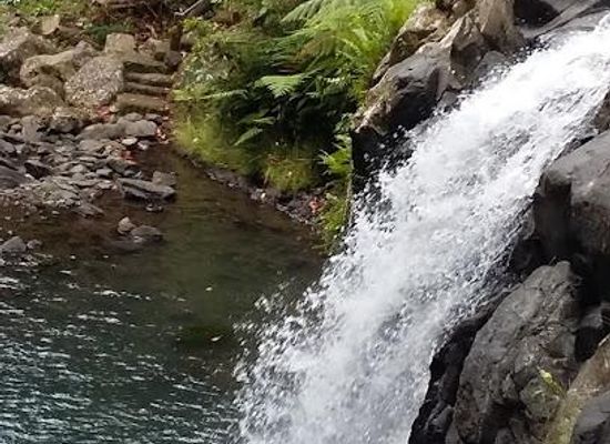 indonesia/bali/attraction/bali-jungle-trekking-sambangan-waterfall-point