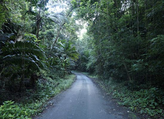 barbados/hastings/attraction/russia-gully