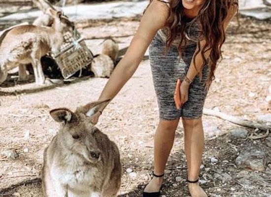 australia/sydney/attraction/sydney-top-tours