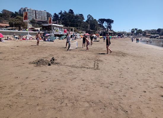 chile/valparaiso-region/attraction/playa-el-abanico