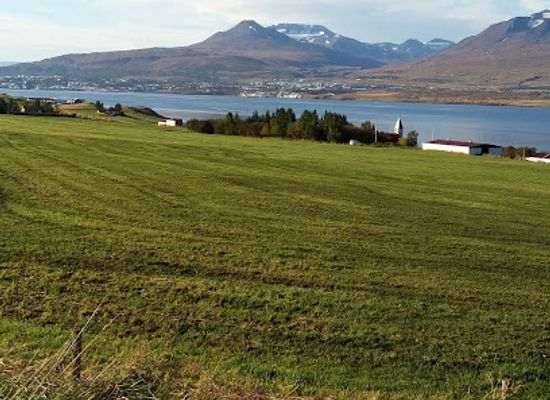 iceland/northeastern-region/attraction/safnasafnio-albyoulist-islands