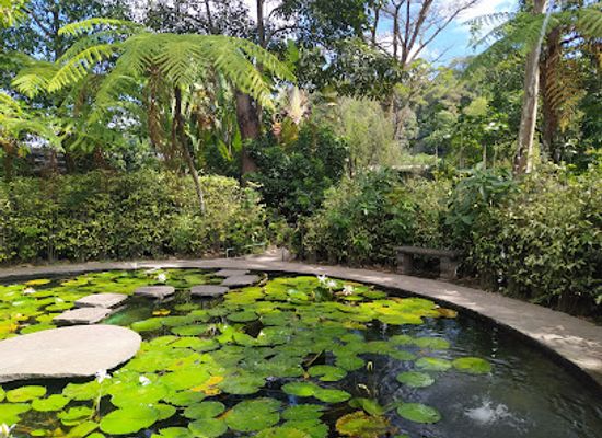el-salvador/central-region/attraction/plan-de-la-laguna-botanical-garden