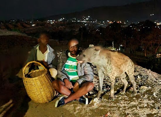 ethiopia/harari-region/attraction/hyena-feeding-site