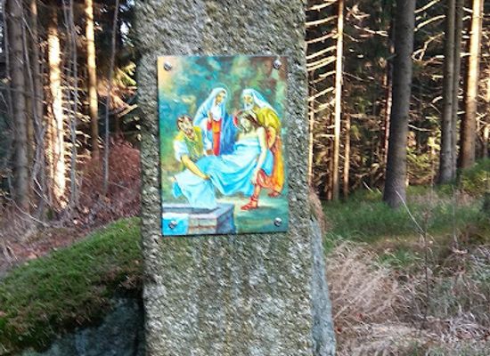 czechia/jizera-mountains/attraction/seibtova-studanka