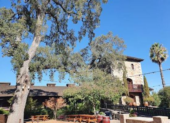 california/napa/attraction/v-sattui-winery