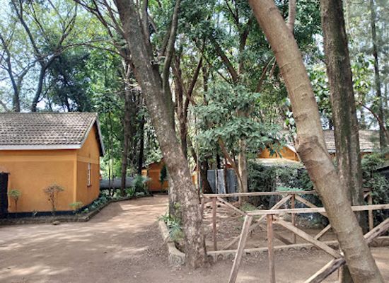 kenya/lake-victoria/attraction/mamba-village-kisumu