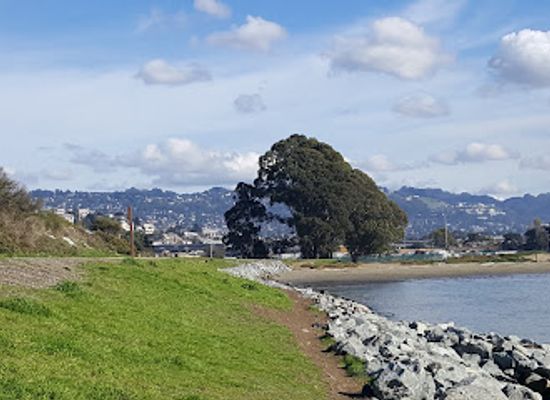 california/berkeley/attraction/mclaughlin-eastshore-state-seashore