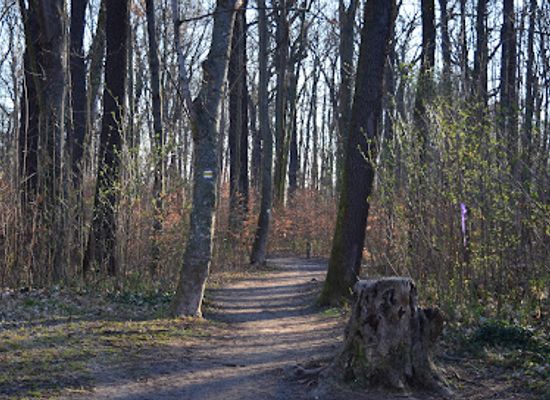 czechia/central-bohemia/attraction/bazantnice-v-satalicich