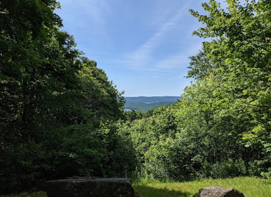 vermont/bennington-county/attraction/lookout