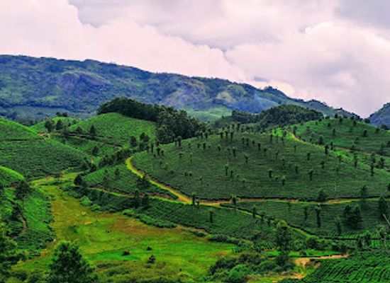 india/western-ghats/attraction/signal-point-munnar