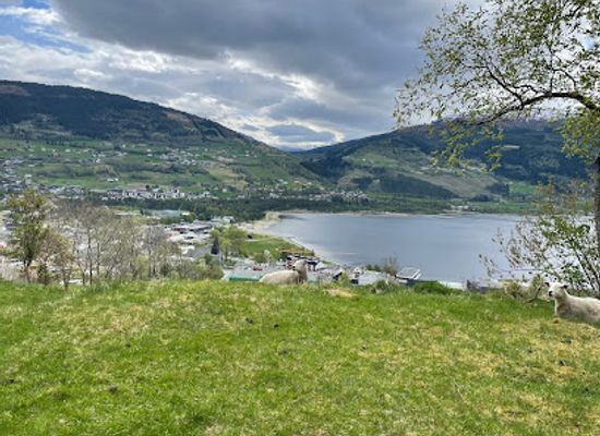 norway/vestlandet/attraction/molstertunet