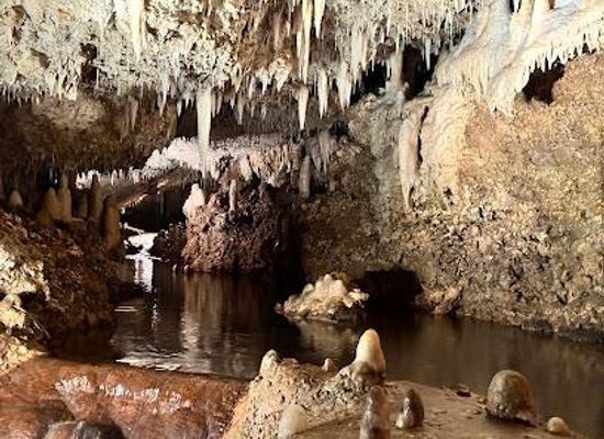 barbados/bridgetown/attraction/harrison-s-cave-eco-adventure-park
