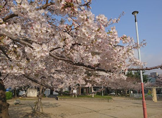 japan/kinki-kansai/attraction/aizen-park