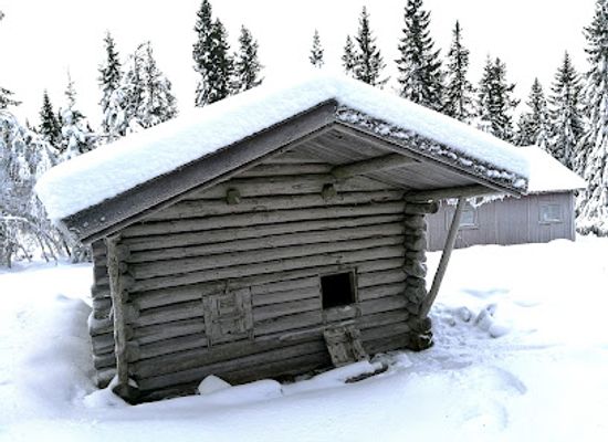 norway/trysil/attraction/morerkoia