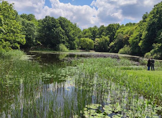 romania/botosani/attraction/lacul-cu-nuferi-mihai-eminescu-ipotesti-botosani