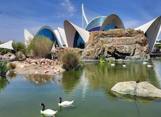 spain/valencia/attraction/oceanografic