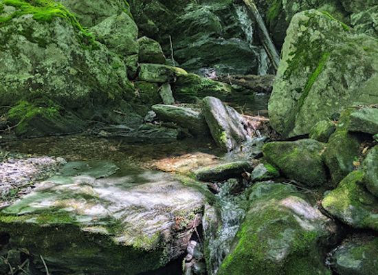 vermont/mad-river-valley/attraction/scrag-mountain-town-forest
