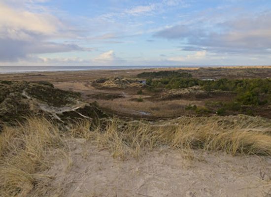 denmark/romo/landmark/mosedalsbjerg