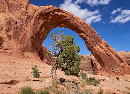 utah/canyonlands/attraction/corona-arch