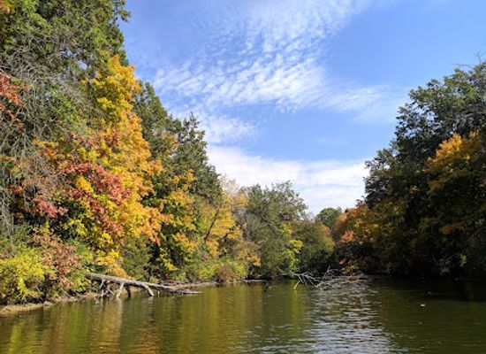 illinois/prairie-state/attraction/walnut-point-state-park