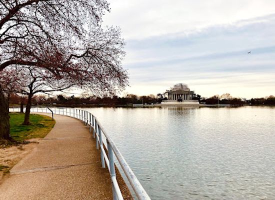 maryland/central-maryland/attraction/baltimore-museum-of-art