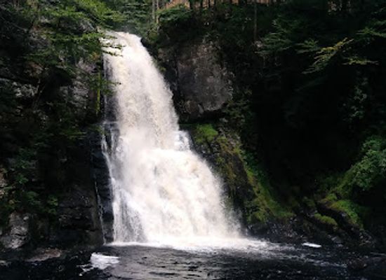 delaware/the-delaware-water-gap/attraction/pocono-snake-animal-farm