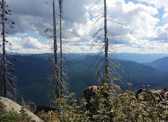 washington/the-selkirk-mountains/attraction/salmo-priest-wilderness