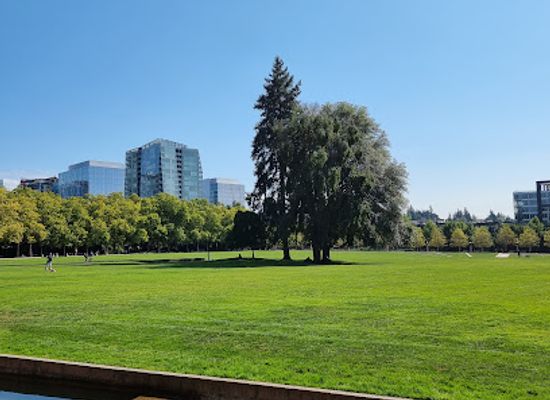 washington/bellevue/attraction/the-infinite-fountain