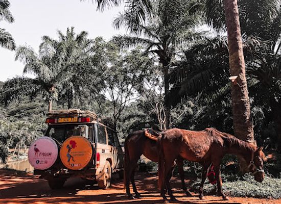tanzania/moshi/attraction/tarry-adventures-and-safaris