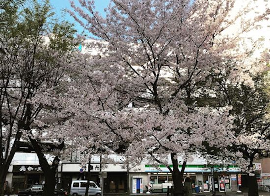 japan/fukuoka/hakata/attraction/ninjin-park