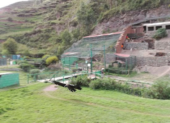 peru/ausangate-trek/attraction/cochahuasi-animal-sanctuary