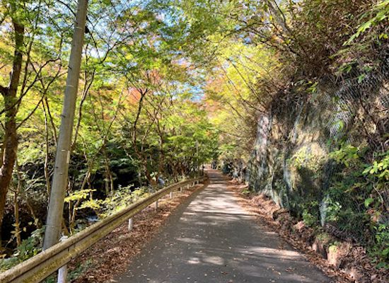 japan/hitachi/attraction/hananuki-gorge