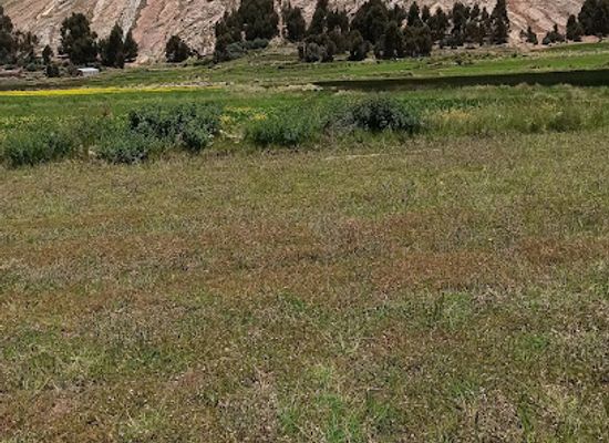 peru/puno-region/attraction/k-alapunko