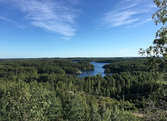 finland/south-karelia/attraction/saimaa-geopark-steep-rocky-area-at-tollonvuori