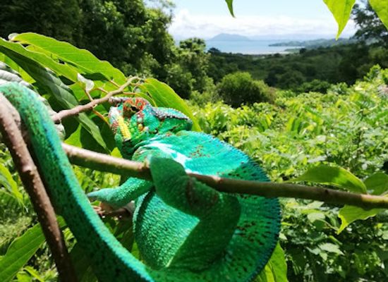 madagascar/nosy-be/attraction/parfums-et-saveurs-de-nosy-be