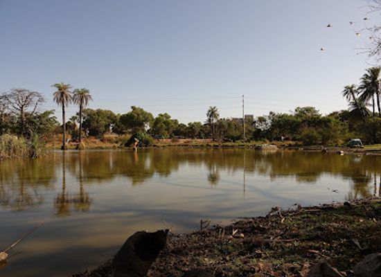 the-gambia/kombo-north/attraction/lily-pond