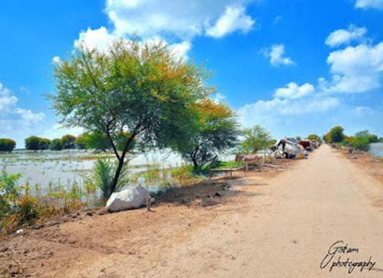 pakistan/thar-desert/attraction/tharparkar-desert