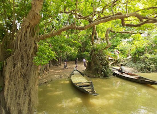 bangladesh/ratargul-swamp-forest/attraction/ratargul-swamp-forest-view-point