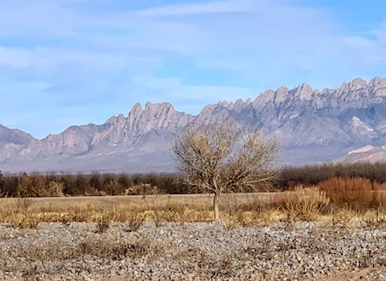 new-mexico/las-cruces/attraction/mesilla-valley-bosque-state-park