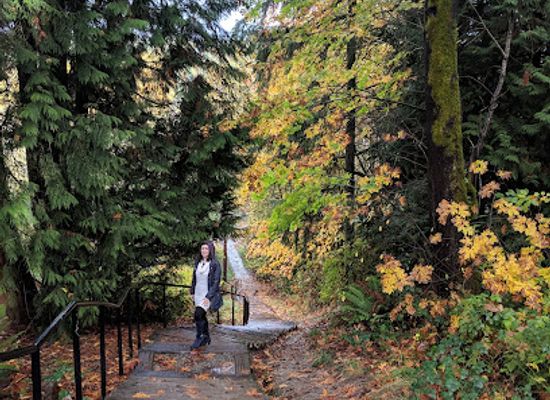 washington/kirkland/attraction/forbes-creek-stairs