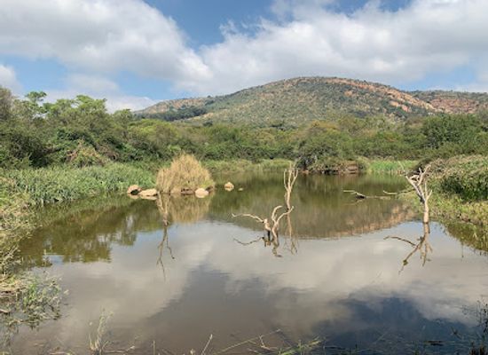 south-africa/north-west/attraction/walter-sisulu-national-botanical-garden