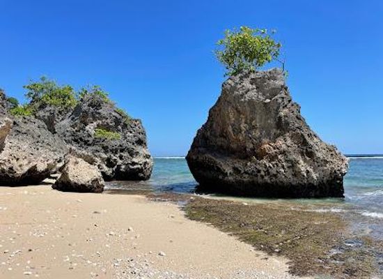 indonesia/bali/attraction/bingin-beach
