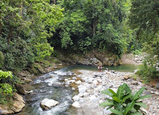 honduras/sula-valley/attraction/cueva-la-cocha