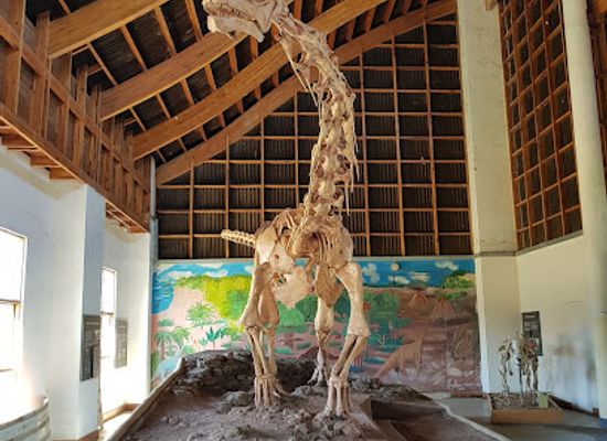 malawi/karonga/attraction/karonga-museum